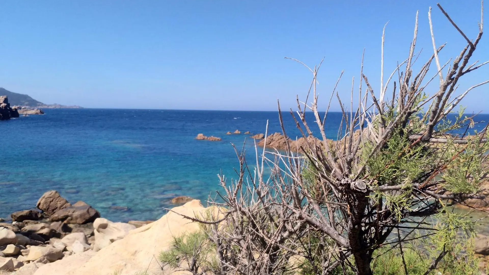 بيت للعطل Wild Paradise كوستا باراديسو